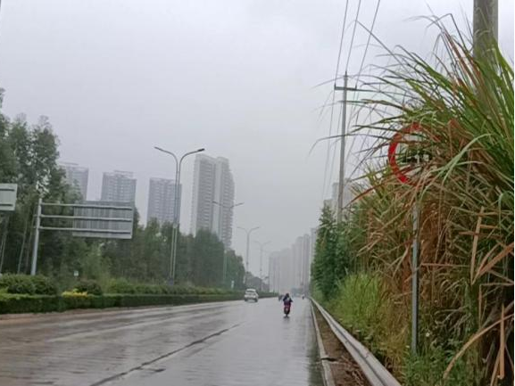 全力以赴戰寒潮，姜汁湯圓暖人心